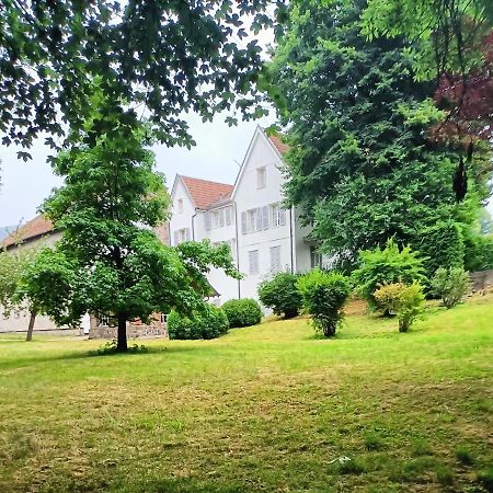 Domaine De La Moselle Bed and Breakfast Saint-Maurice-sur-Moselle Buitenkant foto