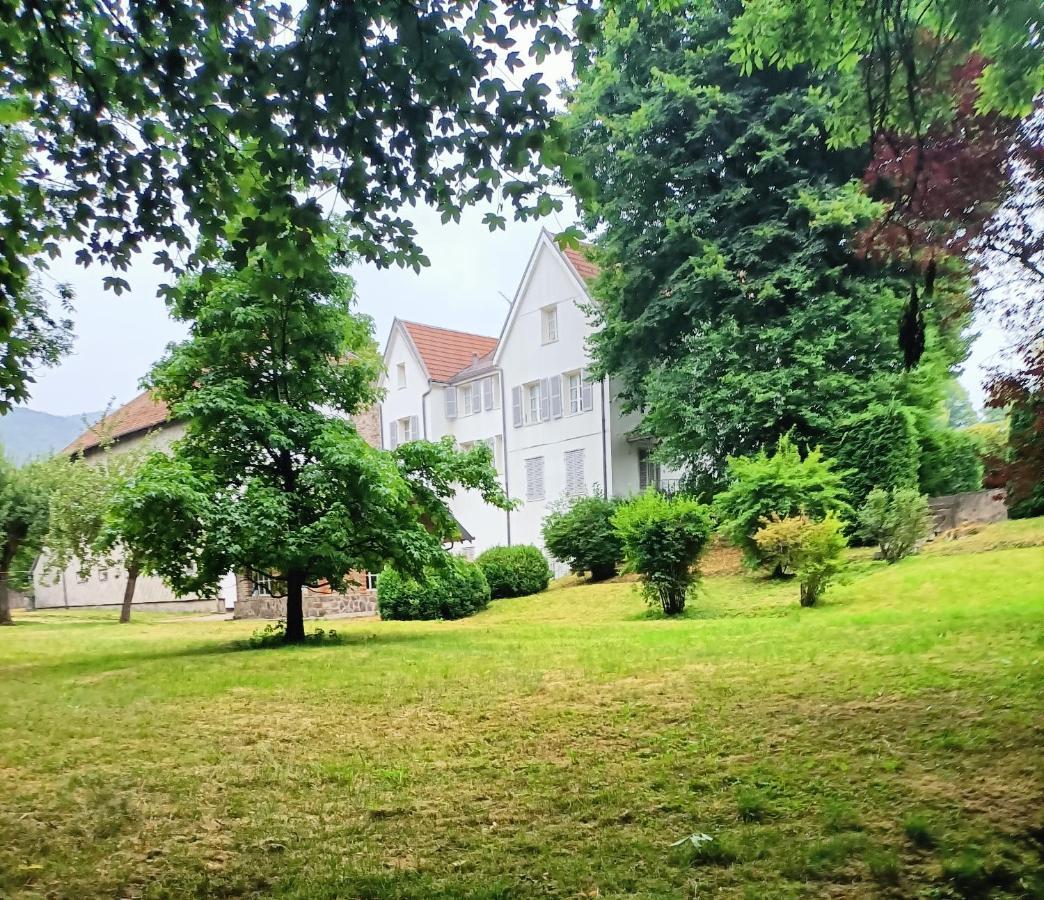 Domaine De La Moselle Bed and Breakfast Saint-Maurice-sur-Moselle Buitenkant foto
